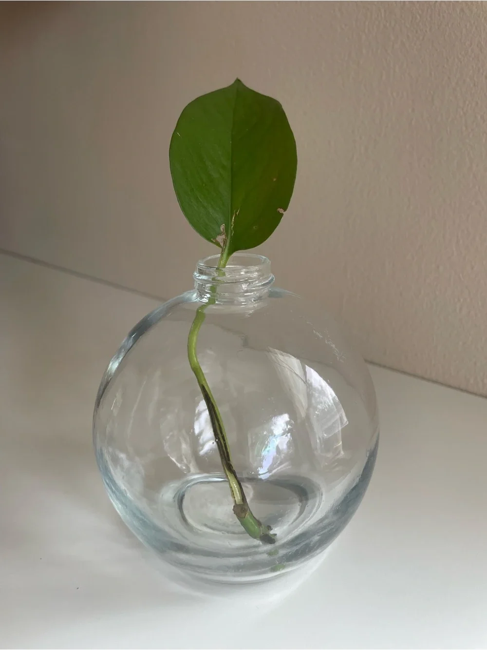 Glass Ball Soap Dispenser
